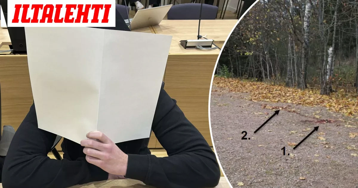 Lukiolaispoikaa syytetään perheenisän murhasta – Näin hän käyttäytyy