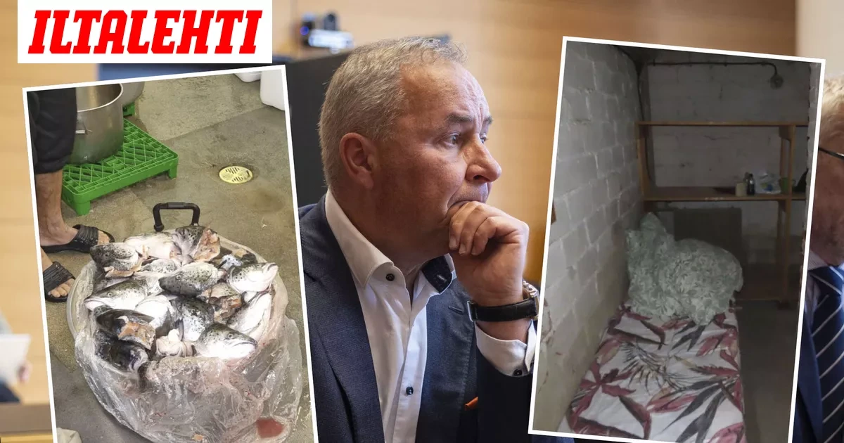 Näin röyhkeästi Jukka Kristo kohteli thaimaalaisia marjanpoimijoita – Vankilaan