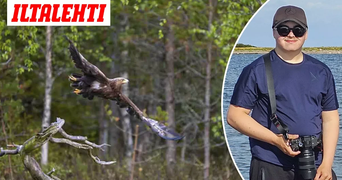 Uhanalainen lintu Suomessa – Vili, 19, ei ollut uskoa silmiään: ”Huikea fiilis”