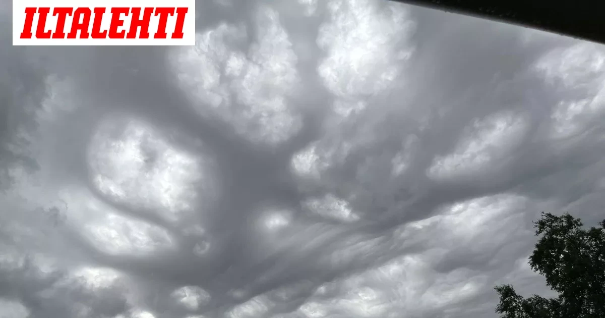 Iris kuvasi harvinaisen näyn Vaasan taivaalla – Meteorologi: ”Ei ihan joka päivä tuollaisia näe”