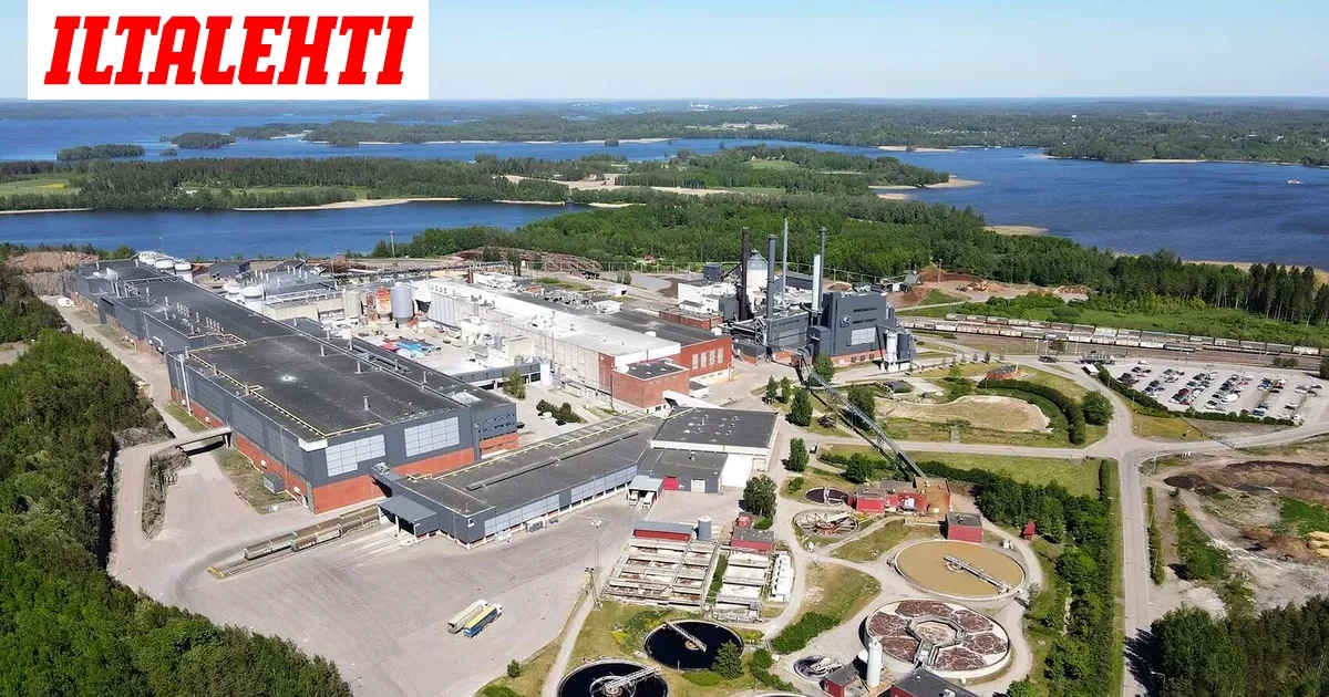 UPM:n miljardidiilin tutkinta: Pysähdys