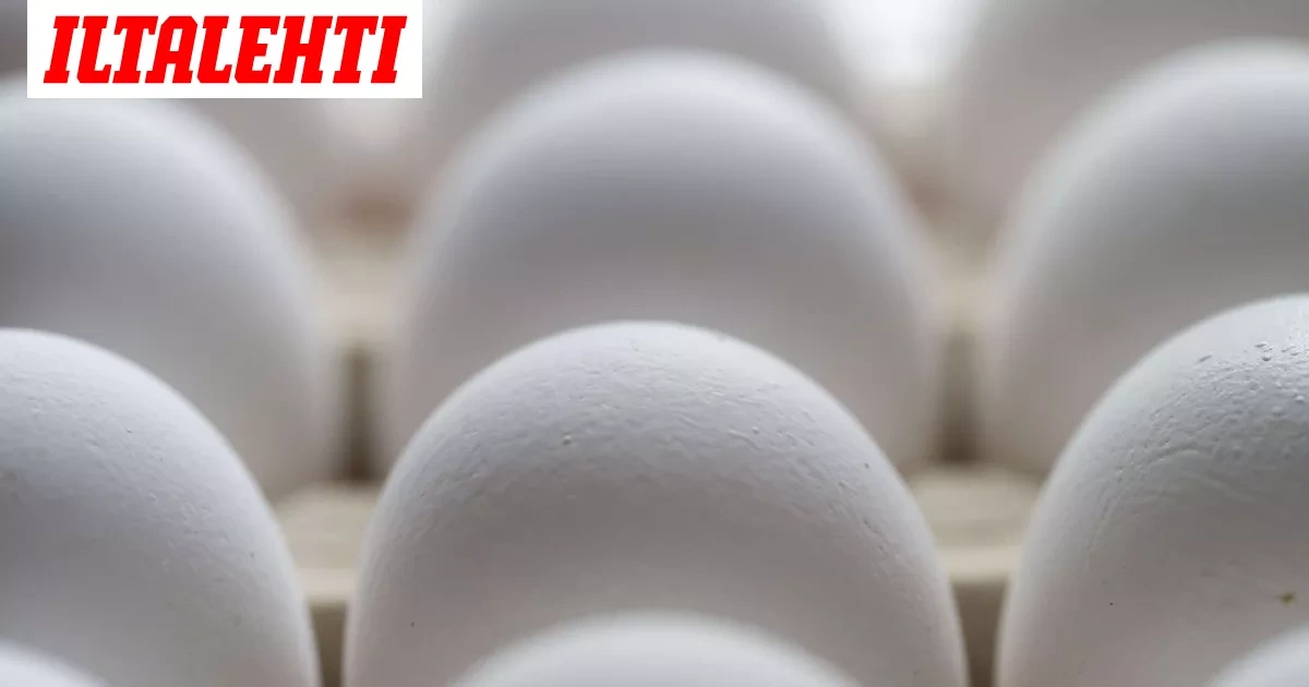 Ostitko näitä kananmunia? Salmonellaepäily koskee nyt useampaa pakettia