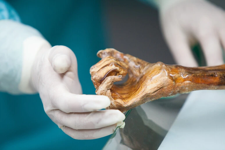 Ötzi, svelato il microbioma di 5mila anni fa