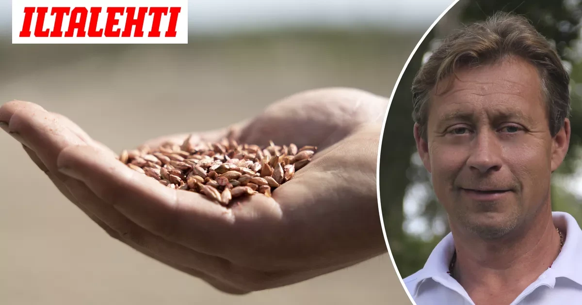 Asiantuntija: Näin Venäjän tulliyllätys iskee Suomeen
