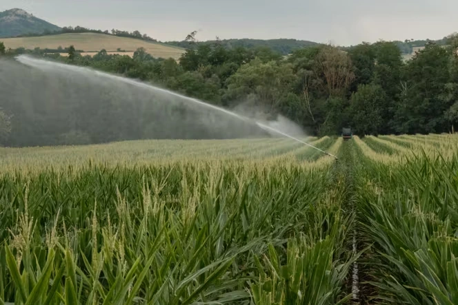 L’adoption de la loi d’urgence agricole suspendue à la question des pesticides