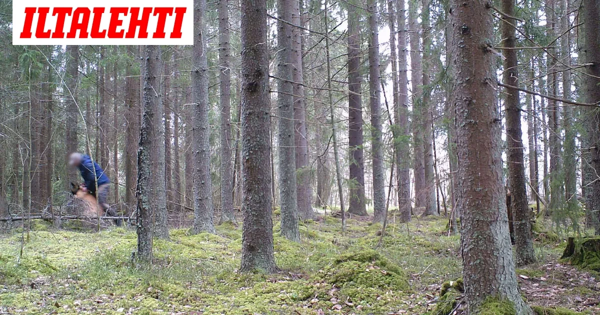 Poliisi löi koiraa metsässä – Riistakamera kuvasi kamalan kohtelun