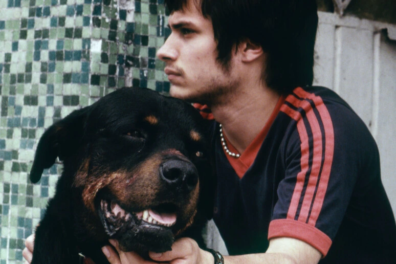 Inarritu, il primo film Amores Perros su Mubi, aspettando Digger con Cruise
