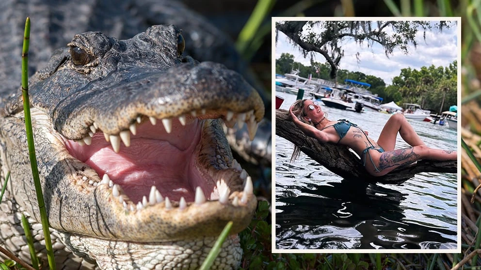 Tödliches Drama im Fluss: Alligator beißt Frau (31) aus Florida beide Arme ab