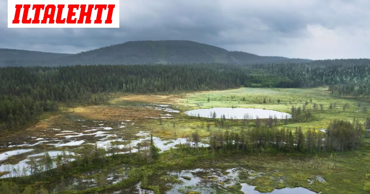 Vedessä oli tyhjä auto – Hätä naisesta kasvaa