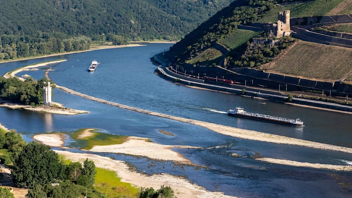 Der Rhein wird zum Wanderweg: Fluss trocknet aus