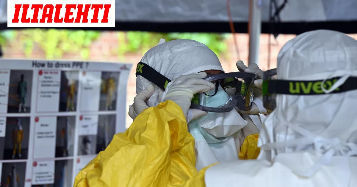Kammovirus leviää ennätysvauhtia