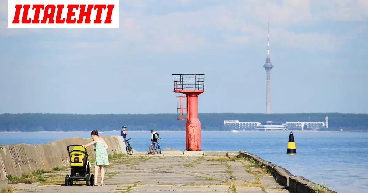 Järkyttävä löytö Tallinnassa: Kuollut koira löytyi ajelehtivasta matkalaukusta