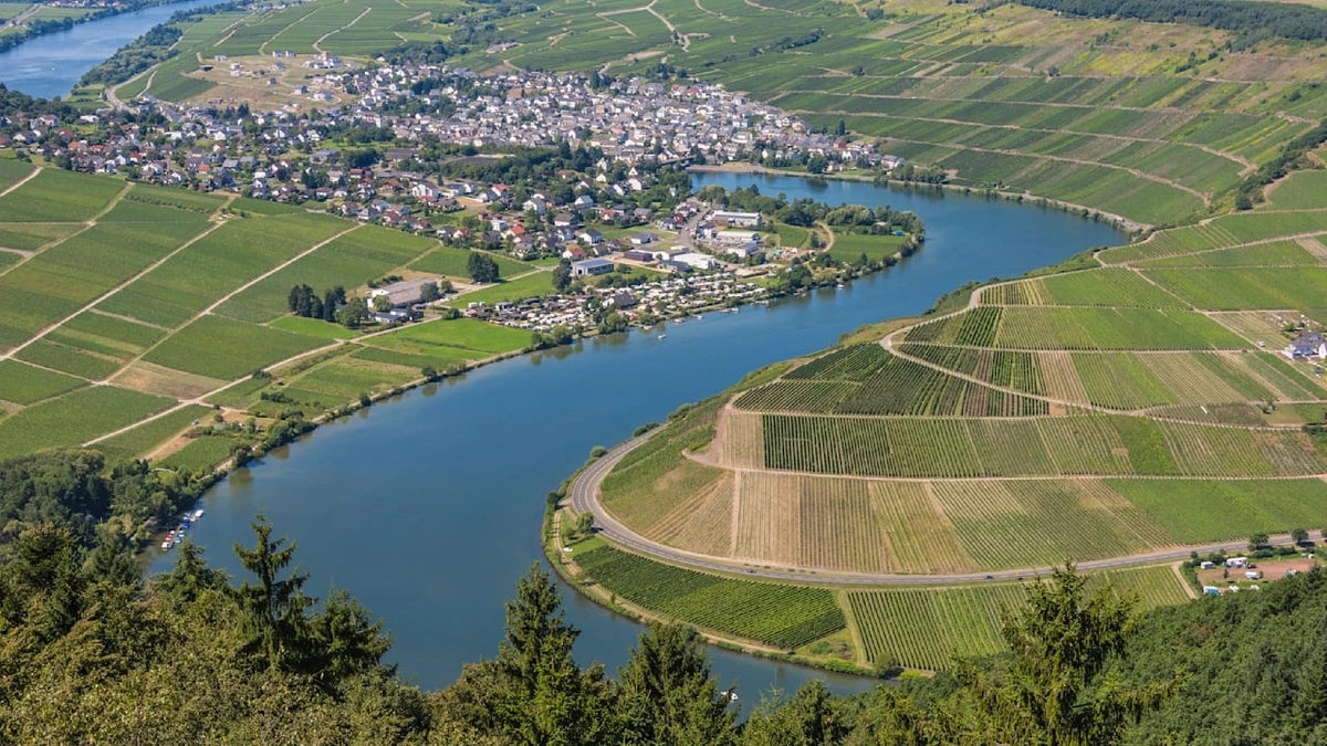 Wegen Wasserverschmutzung: 124 Schiffspassagiere hängen auf Mosel fest