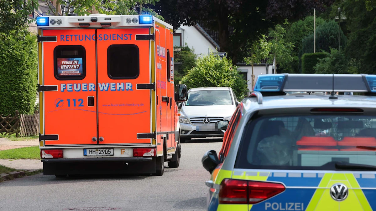 Schwer verletzt: Dackel beißt Kind (3) beim Spielen ins Gesicht