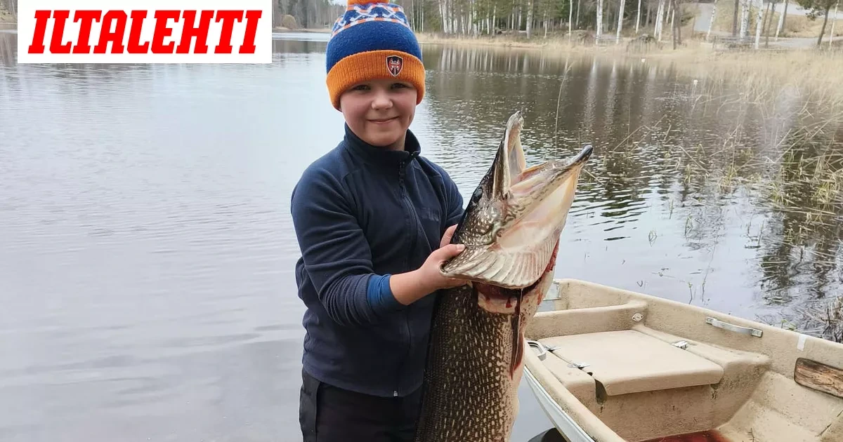 Niilo, 12, nosti vedestä järisyttävän kokoisen pedon