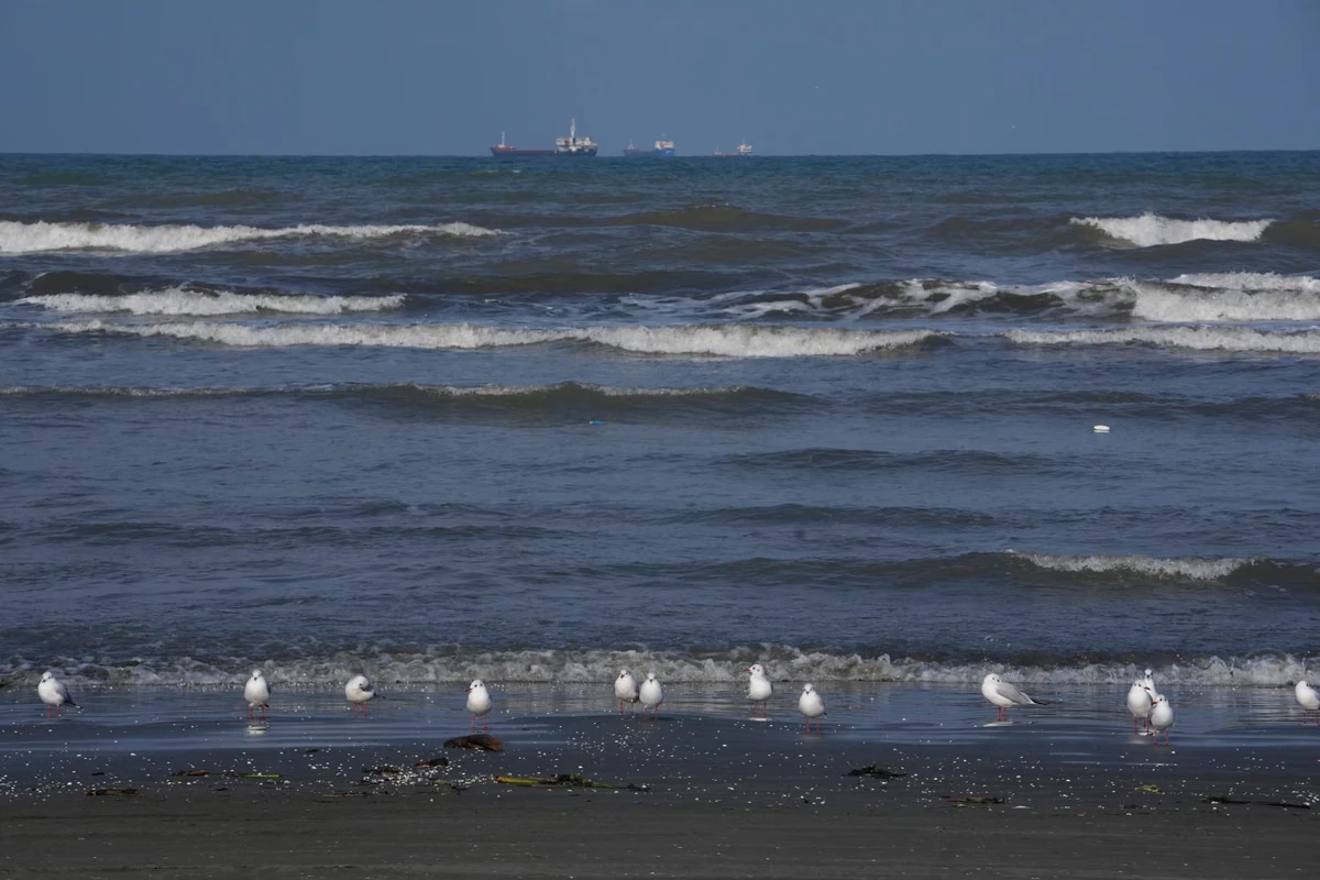 Ukraine war briefing: Iran accuses Kyiv of deadly attack on Iranian vessel in Caspian Sea