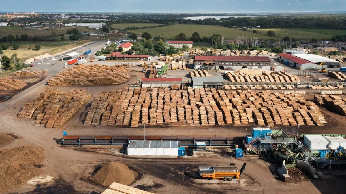 Kahlschlag in Sachsen: Holzgigant streicht 350 Stellen