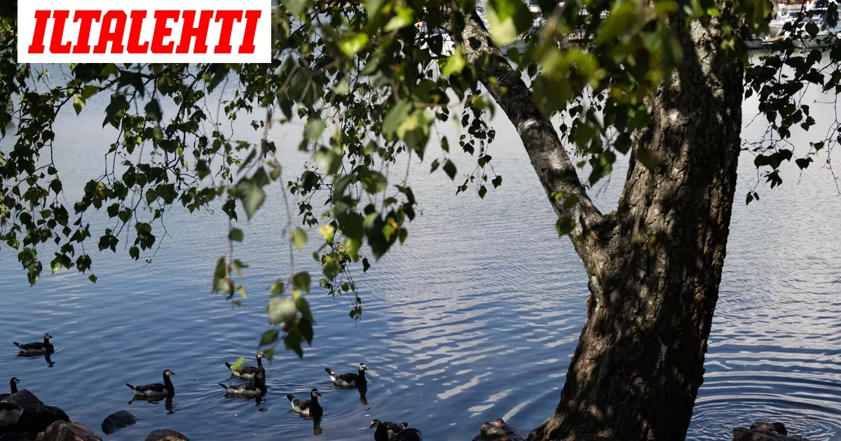 Tämä päivä muuttaa kaiken: Odotettu ilmiö saapuu Suomeen