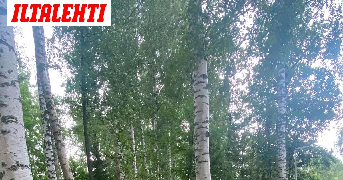 Hakaristi-isku Pieksämäellä