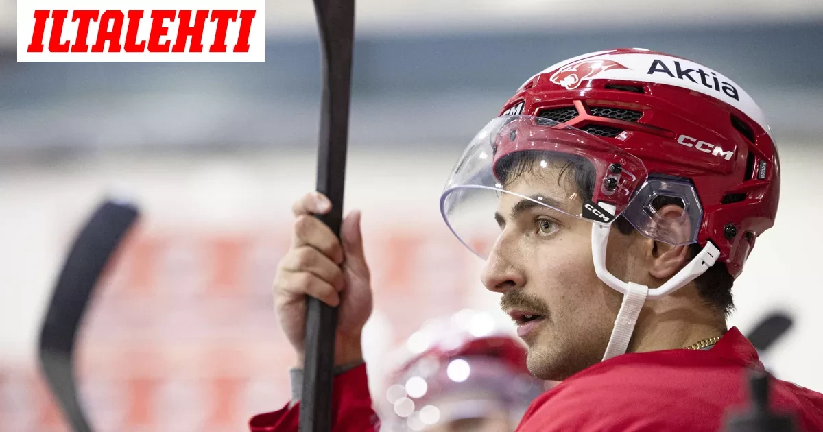 Lippujen hinnoista nousi kohu – HIFK-tähti lataa suorat sanat: ”Sata kertaa parempi”