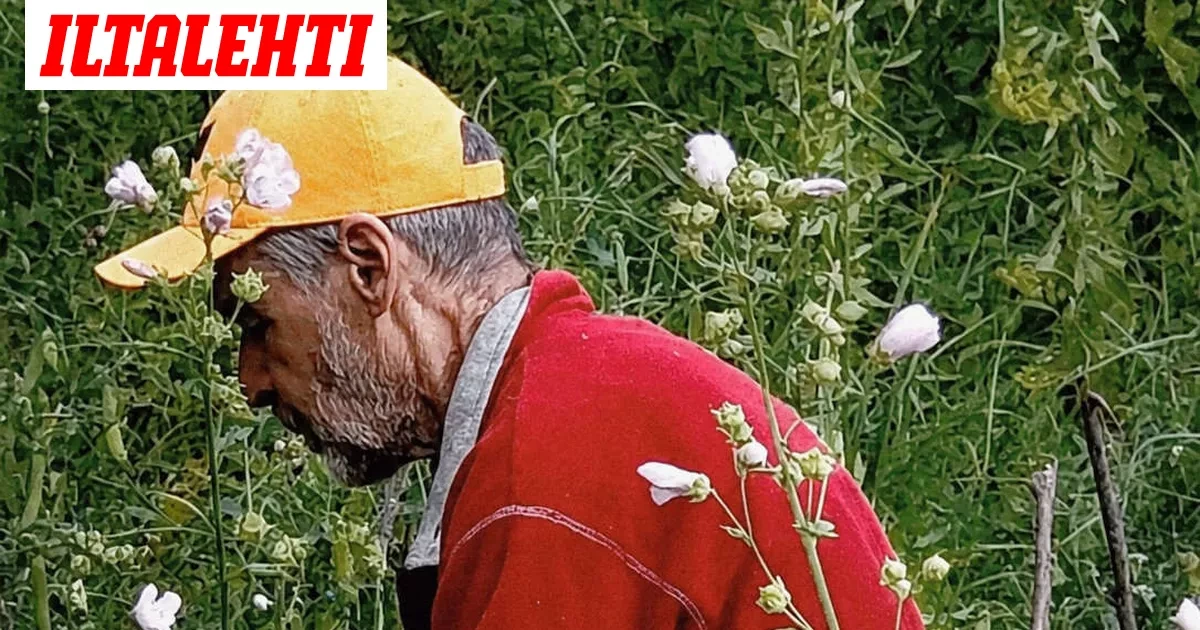 Jos asut täällä, tarkista piharakennuksesi – Uusi kuva miehestä julki