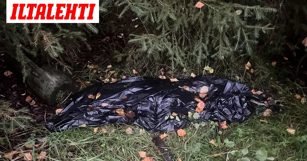 13-vuotias tyttö teki metsästä vastenmielisen löydön – ”Vähän myös pelotti”