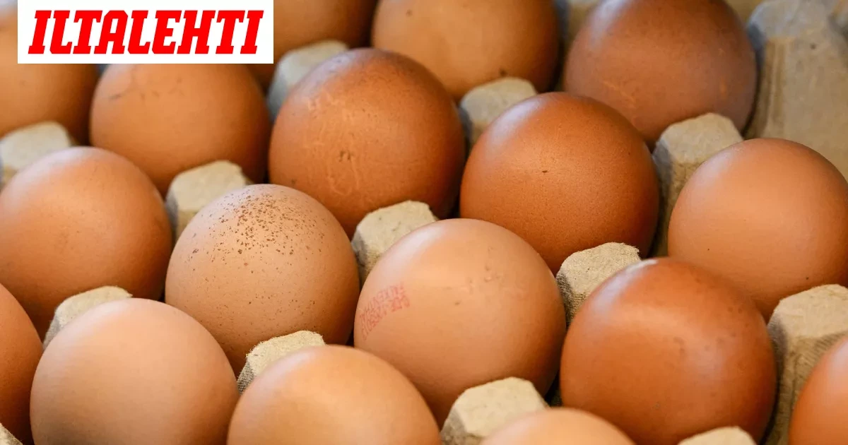Koulun pasta carbonara sairastutti satoja Tšekissä