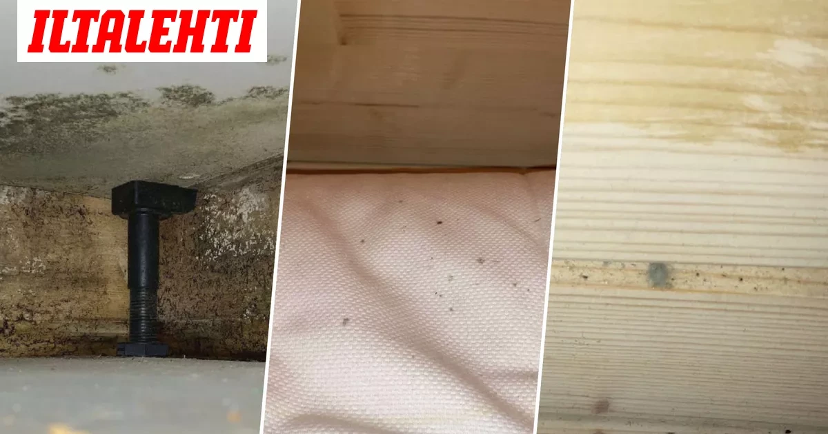 Nainen osti talon, sai mökin – Kammottava lasku kauppiaalle