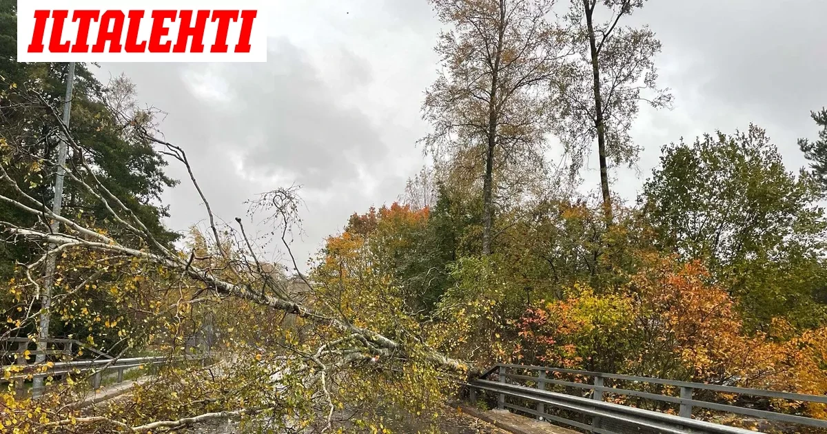 Myrsky iski Suomeen – Näin käy nyt