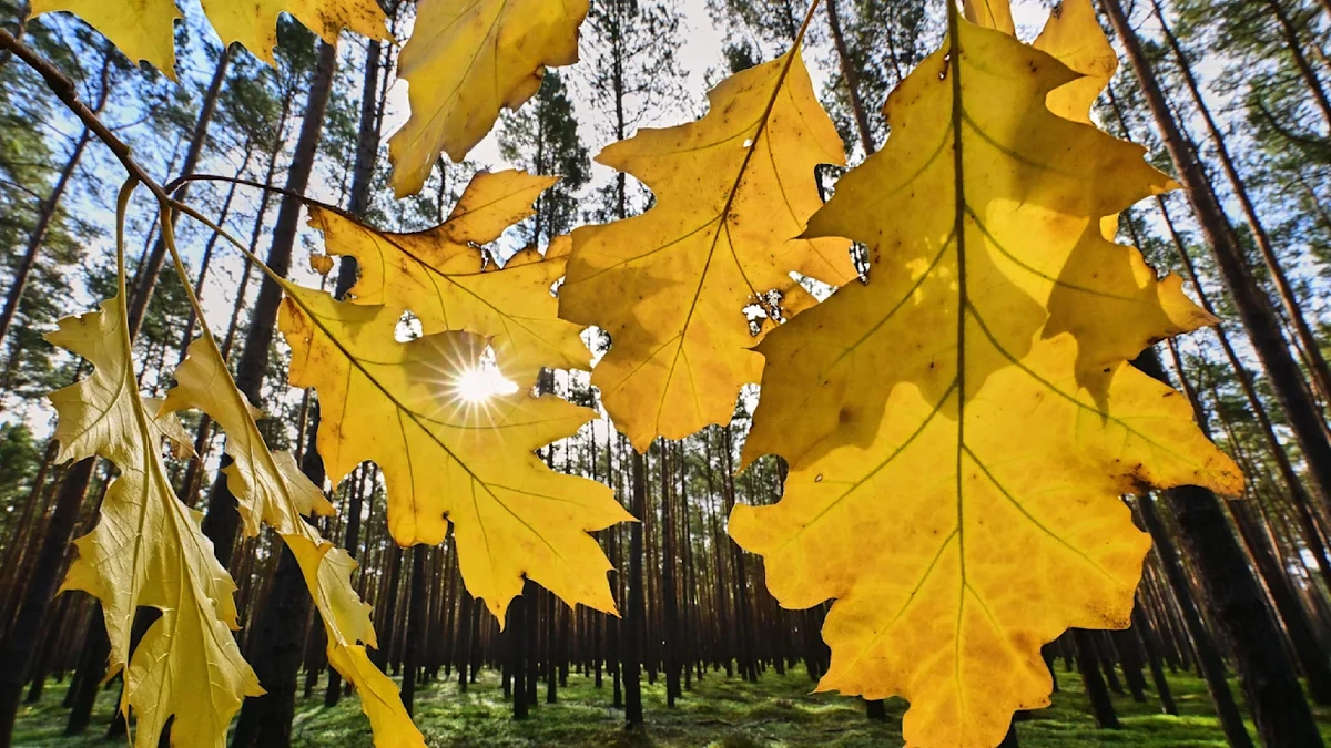 Wetterwende: 30-Grad-Comeback trotz Herbstanfang
