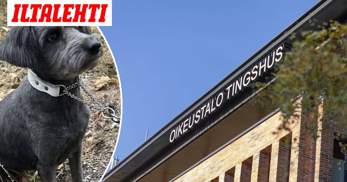 Eläinsuojelija kaappasi Pimu-koiran itselleen ja kehitti härskin valheen