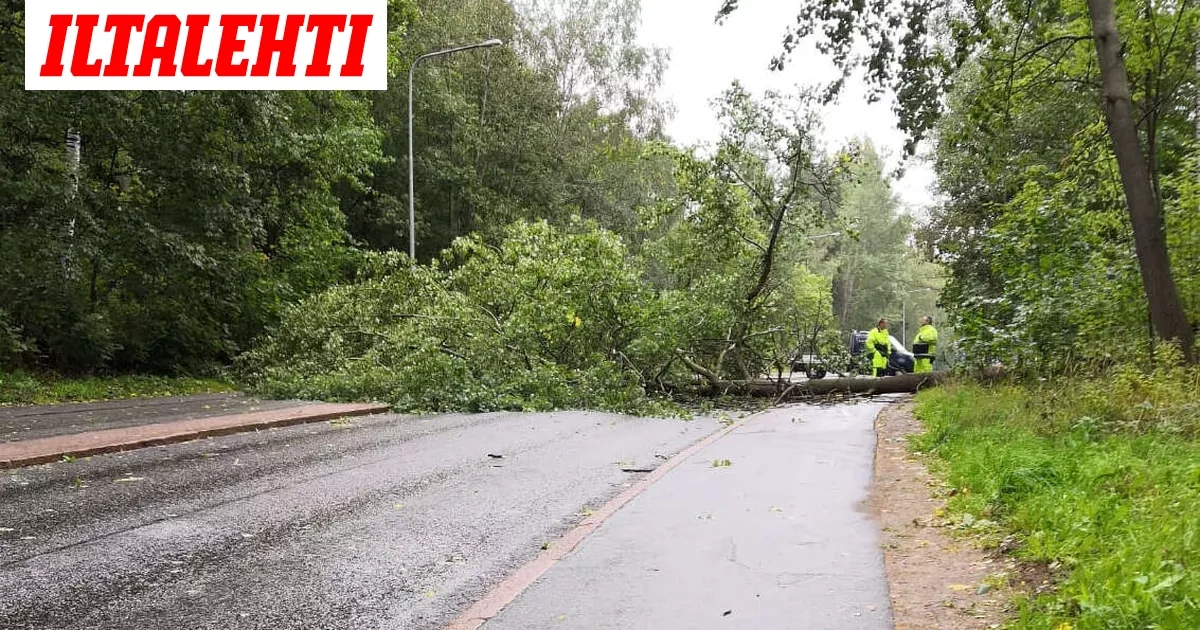 Nyt varoitetaan vaarallisesta säästä: Sähköt voivat katketa pitkäksi aikaa
