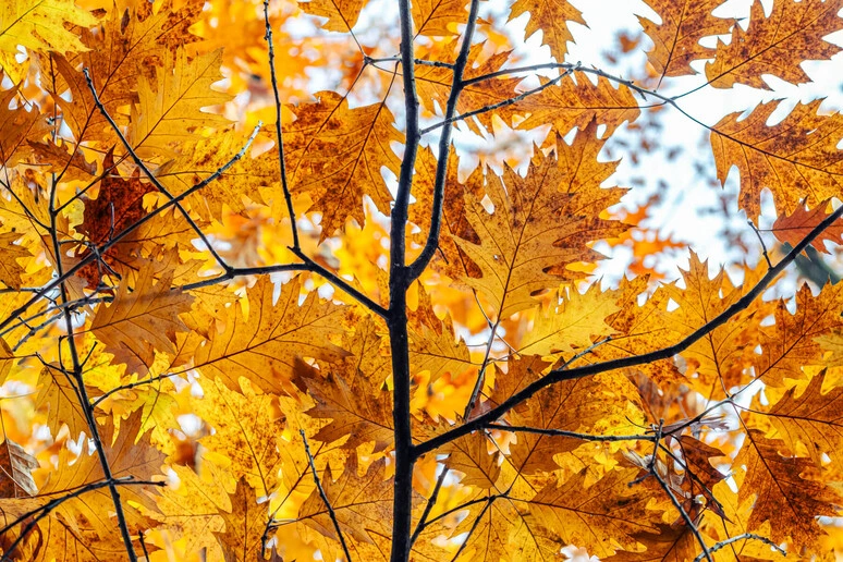Estate agli sgoccioli, arriva l'equinozio d'autunno