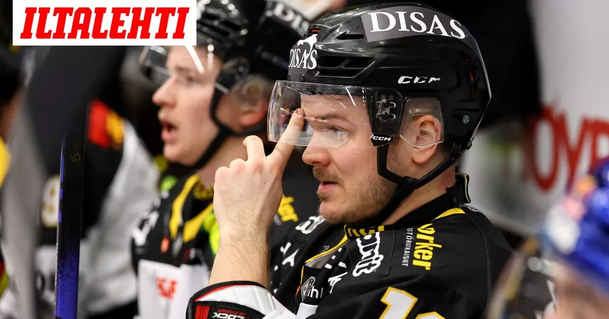 Petopodi: Julius Junttila lopetti