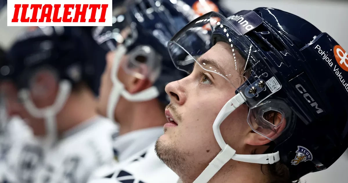 HIFK hankki Leijonat-hyökkääjän