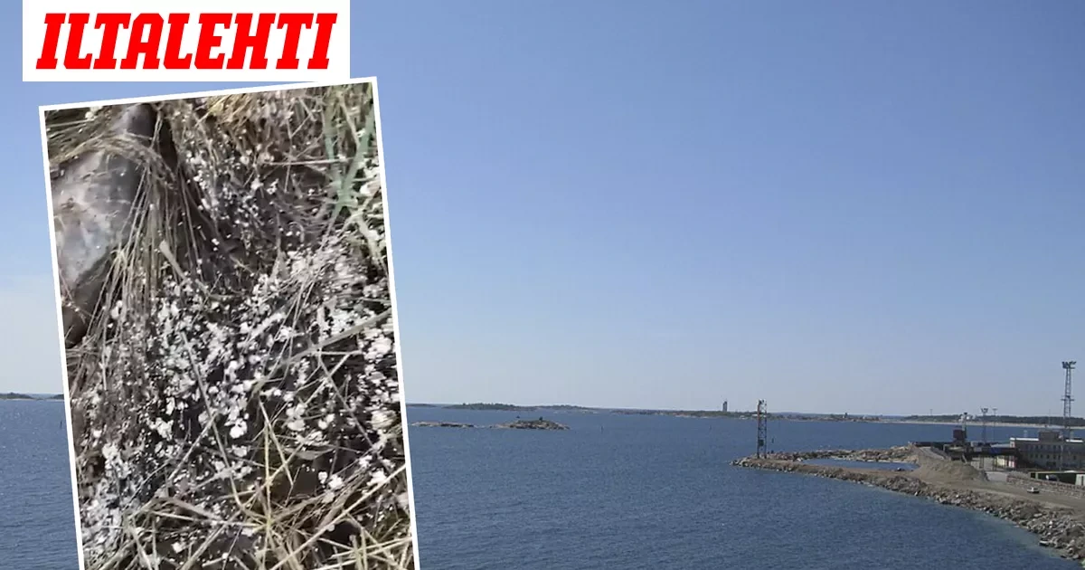 Inkeri kuvasi lohduttoman näyn Hangossa – ”Sattuu melkein sydämeen”