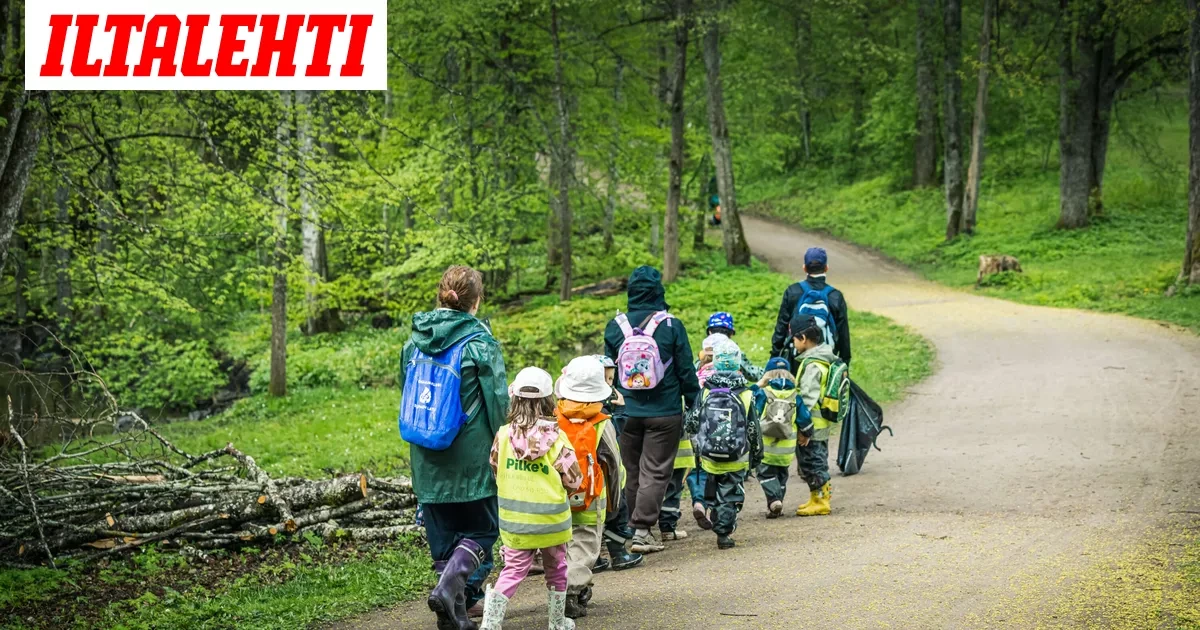 Yle: Aikuiset unohtivat kolme lasta metsään iltapäiväkerhossa