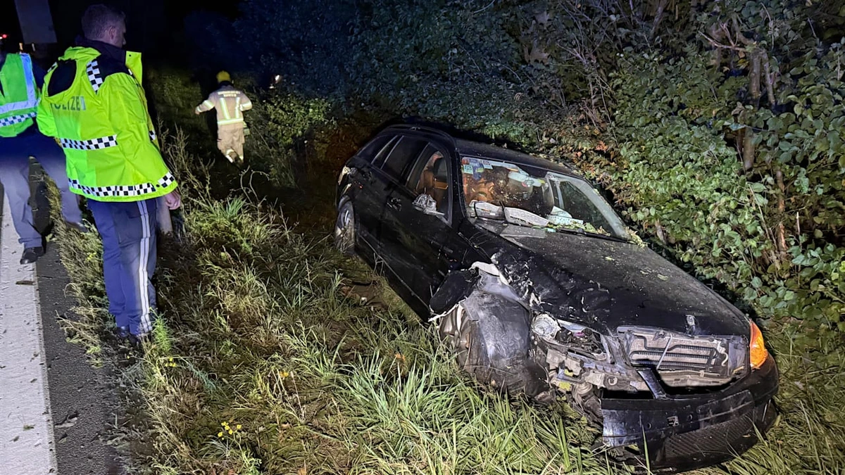 Unfall auf der Autobahn: Herrchen im Auto von Katze angegriffen