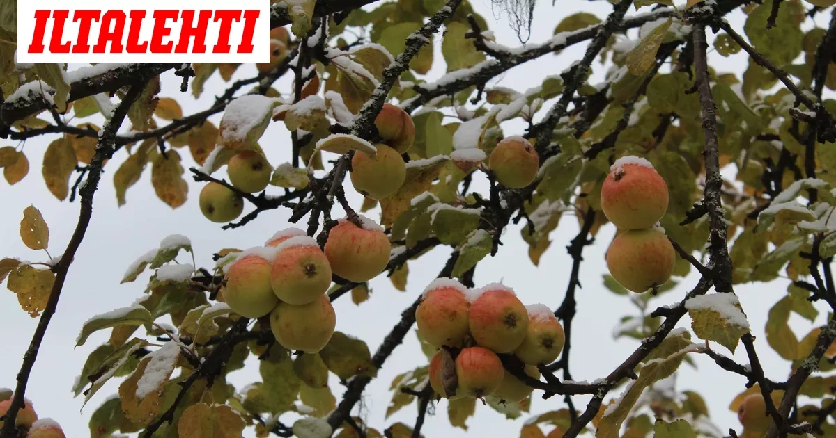 Kohta sataa lujaa – Ja sitten voi tulla lunta