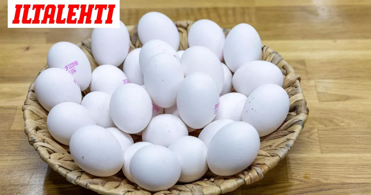 Näissä kananmunissa salmonellavaara: Älä syö