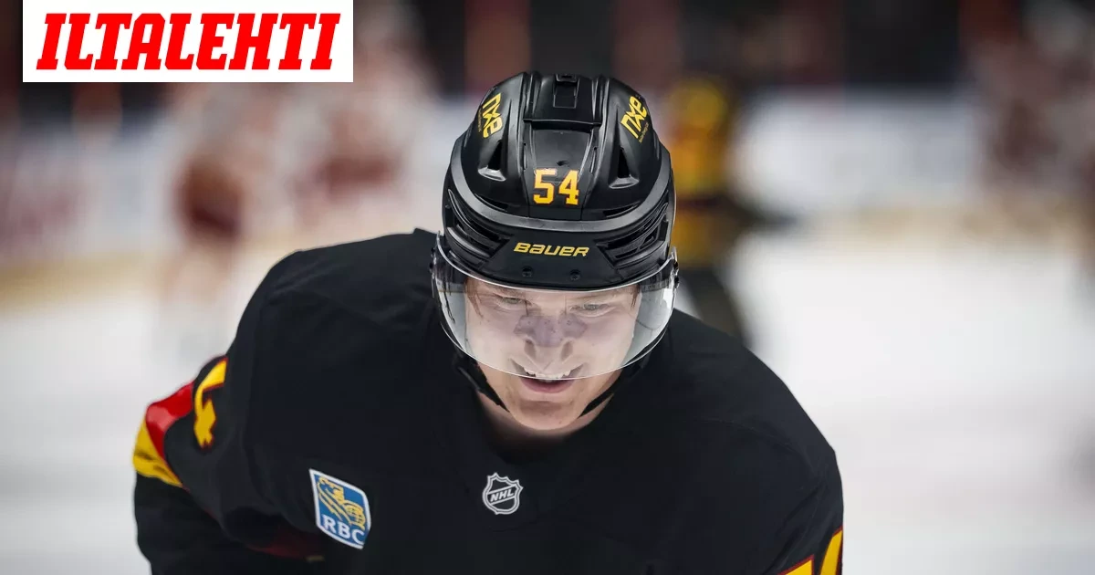 Kultaleijona telottiin ruokottomalla tavalla – ”Oksettava temppu”