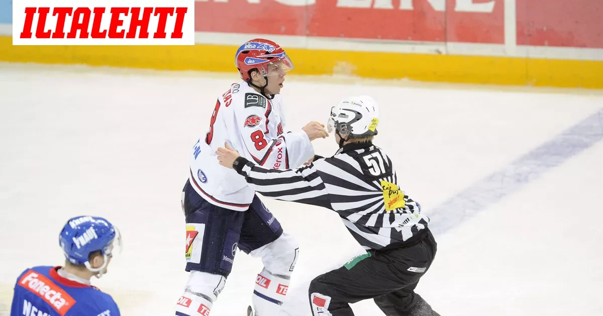 HIFK-konkarilta suorat sanat Ville Peltosen kohtelusta – Kuka antoi tappokäskyn? ”Minulla on valistunut arvaus”