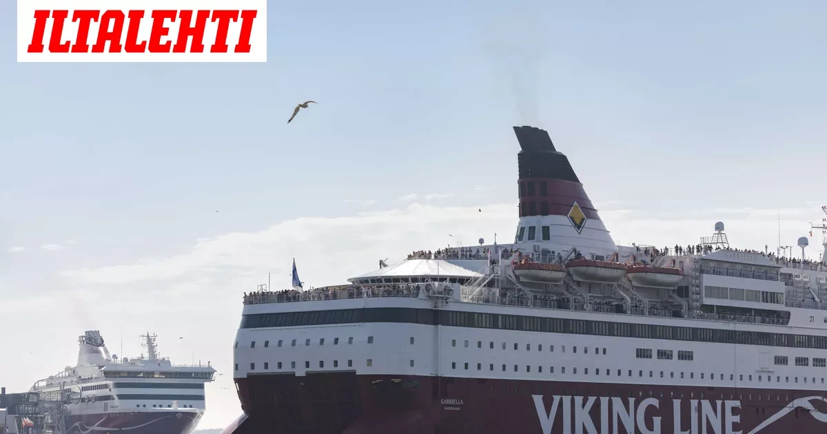 IS: Viking Line heitti lapsiperheen eväät roskiin