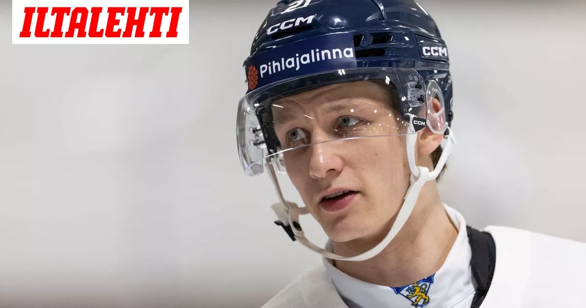 Kultaleijona vietiin sairaalaan