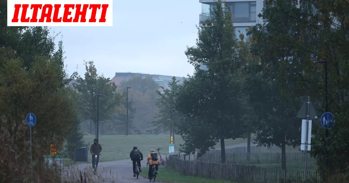 Sakea sumu Helsingissä – Tästä se johtuu