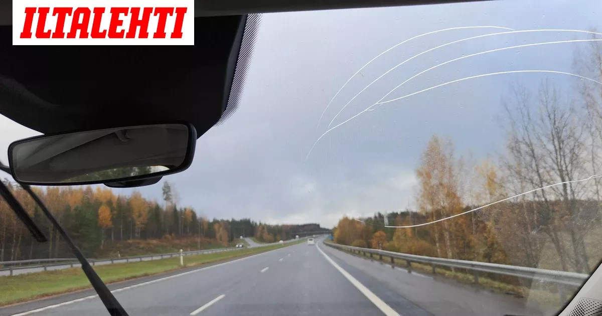 Leo, 17, istui pelkääjän paikalla, kun järkäle iski tuulilasiin: ”Olisi tullut suoraan päin”
