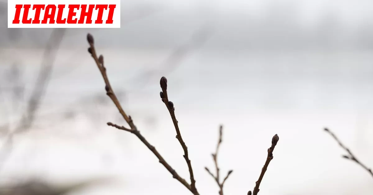 Nyt tuli lunta!